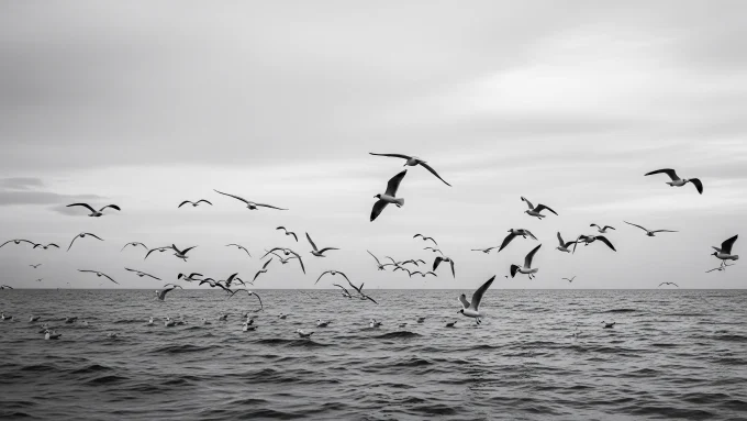 次回投稿記事のお知らせ